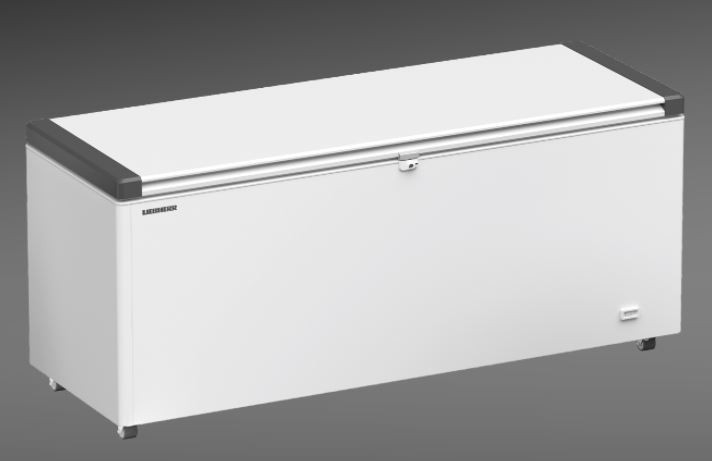 Horeca diepvries Liebherr EFL6055-21 vooraanzicht