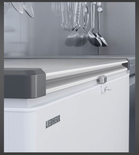 Horeca congélateur Liebherr EFL6056-21 vooraanzicht