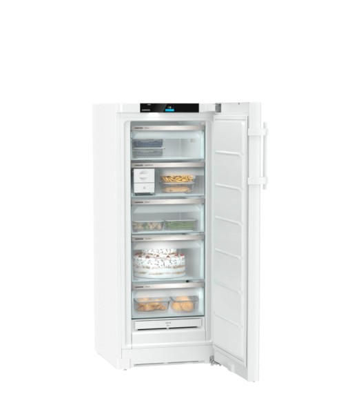 Diepvries Liebherr FNB465I22 / Ladegeleider detail 2