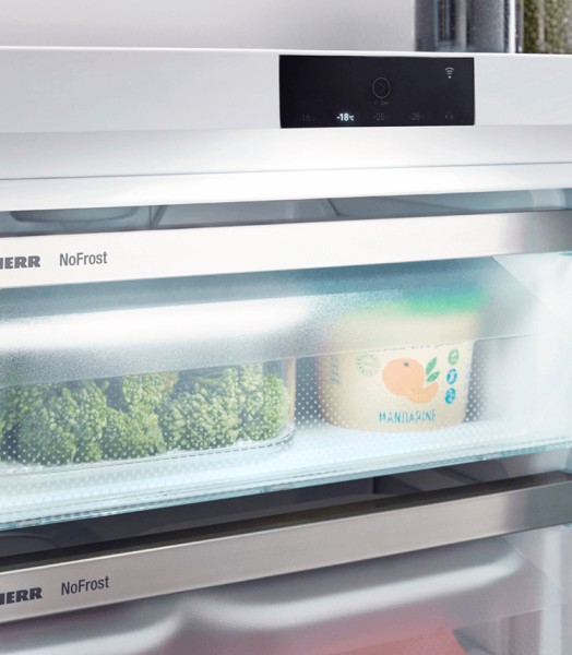 Diepvries Liebherr FNDI162420 / Ladegeleider detail 3