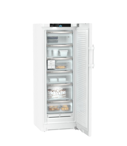 Diepvries Liebherr FNB505I22 / Ladegeleider detail 2