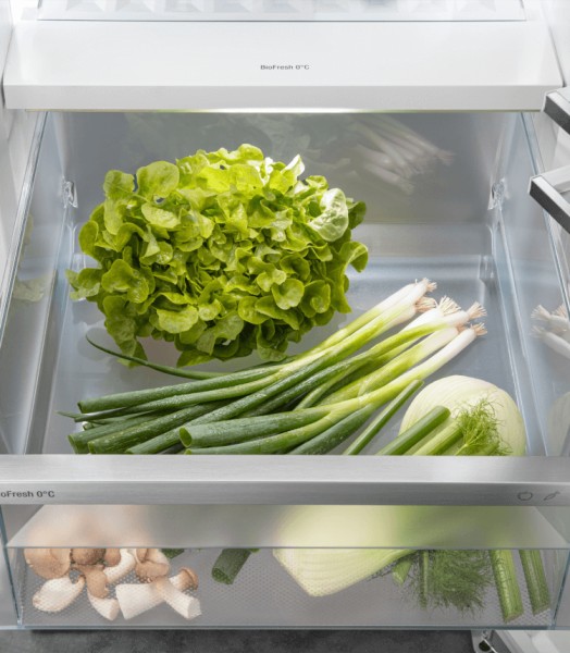 Frigo Liebherr RBSDC525I22 detail 4