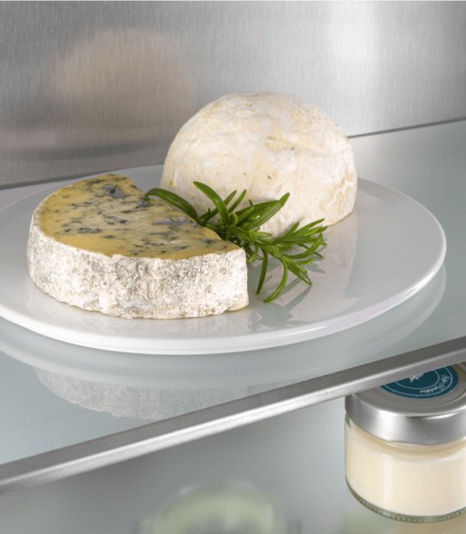 Frigo intégrable hauteur 88cm Liebherr IRCI395062 detail 2