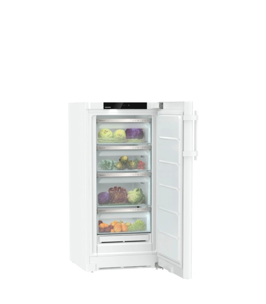 Frigo Liebherr RBA425I22 detail 2