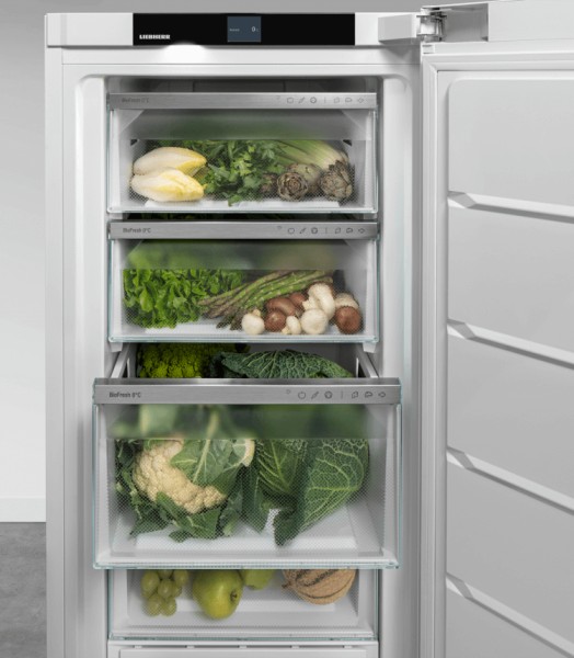 Frigo Liebherr RBA425I22 detail 3