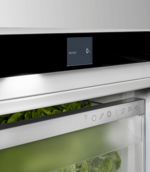 Frigo Liebherr RBA425I22 detail 5