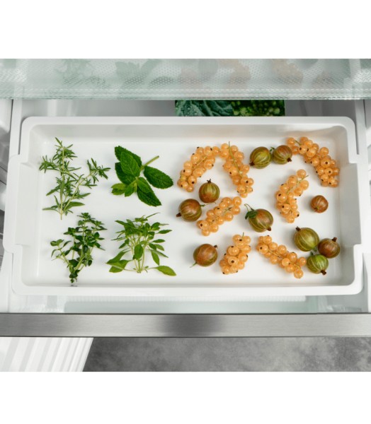 Congélateur intégrable > 122cm Liebherr SIFNbsdi 5188 detail 2