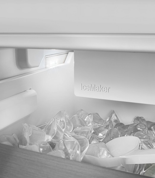 Combiné réfrigérateur/congélateur Liebherr SBNSDD526I22 detail 6