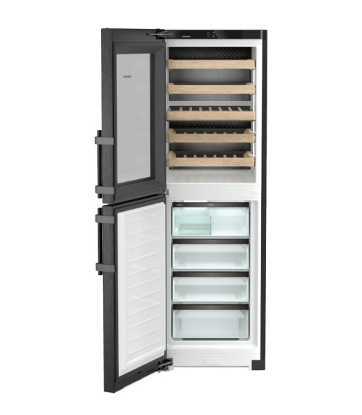 Combiné réfrigérateur/congélateur Liebherr SWNBSD529I20 detail 2