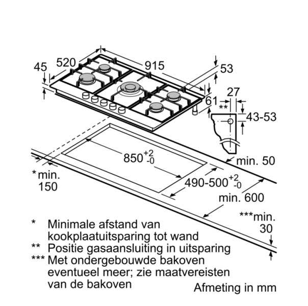 Taque de cuisson au gaz Bosch PCR9A5I90 detail 2