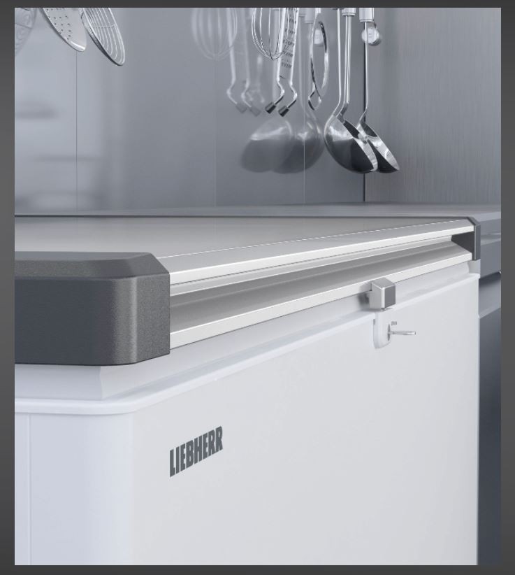 Liebherr Horeca diepvries EFL 6056- 21